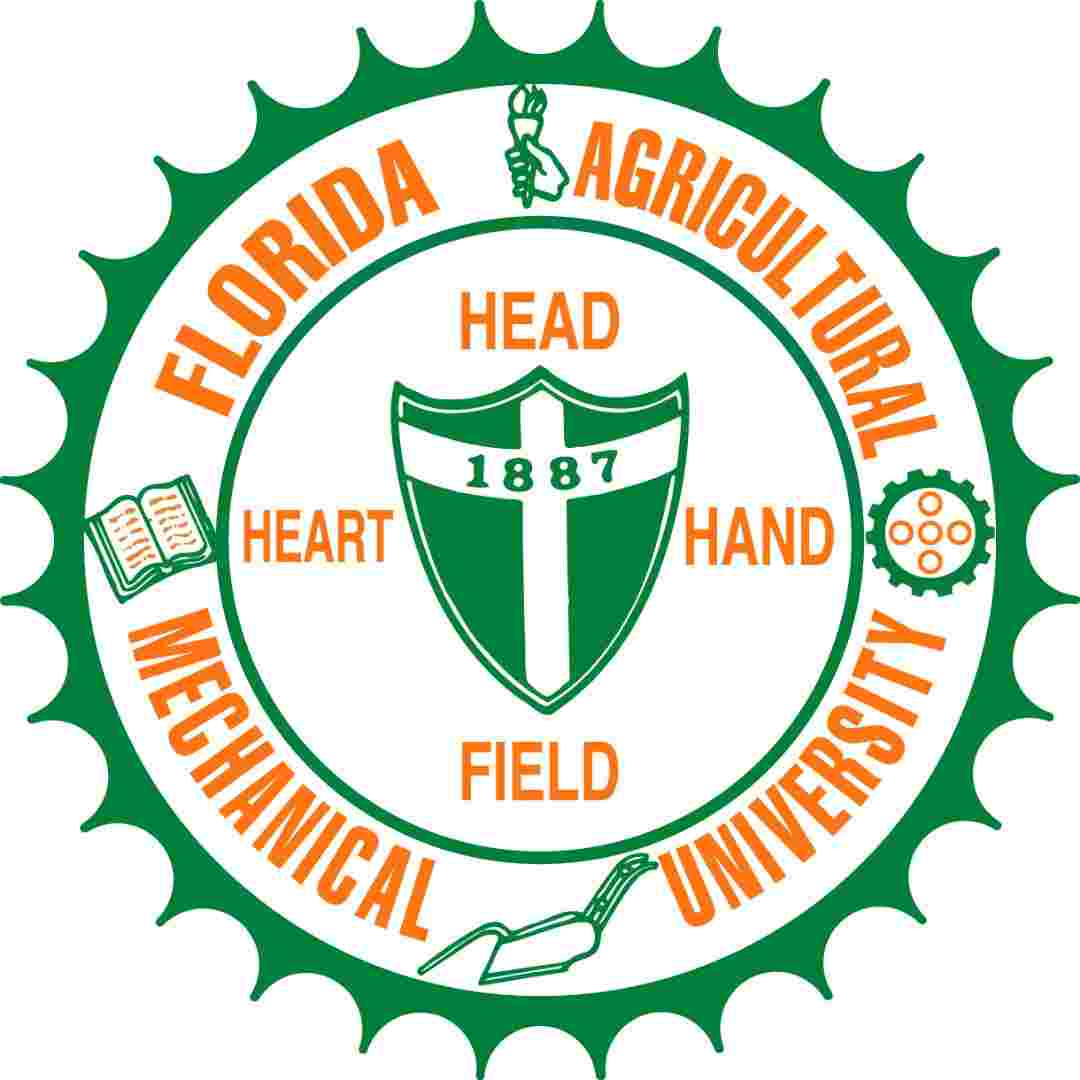 Florida A&M University Launches 24 Hour Black News Network Florida A And M University Launches