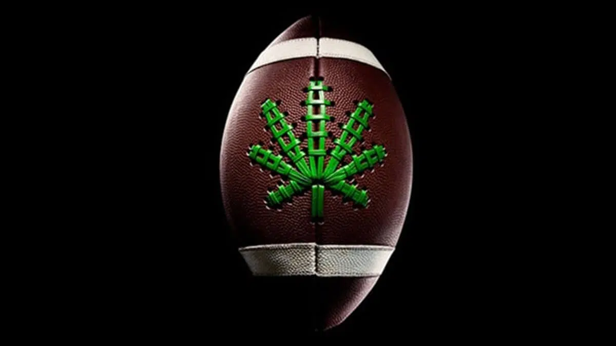 NFL Legalize Marijuana 6