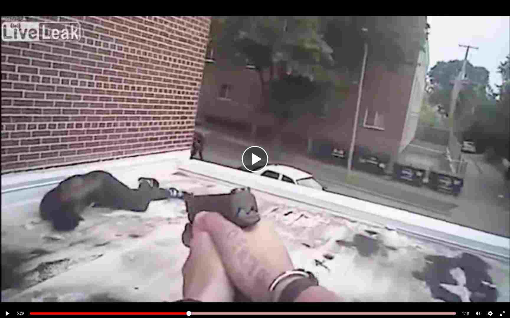 Bodycam shows cop WRONGFULLY SHOOTING