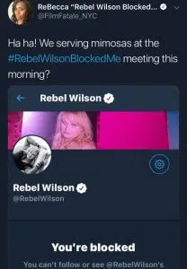 Rebel Wilson Digs a Hole Deeper and Deeper-3