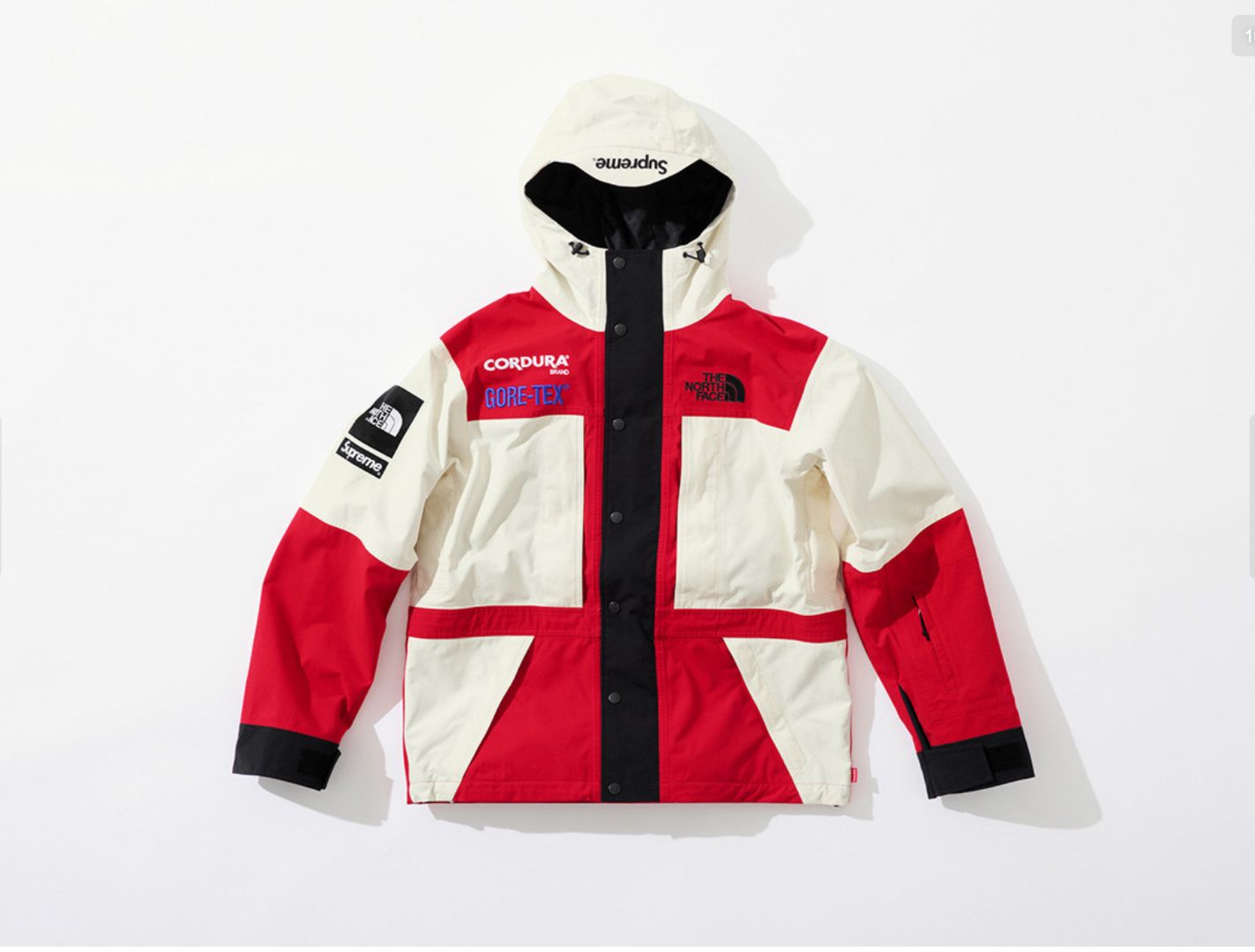 Supreme And North Face Drop GORE- 10