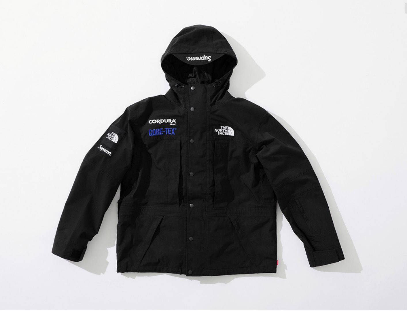 Supreme And North Face Drop GORE- 11