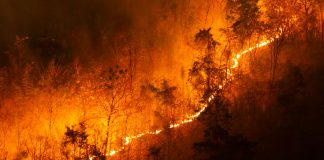 Death Tolls Spike in California Wildfires Wildfires