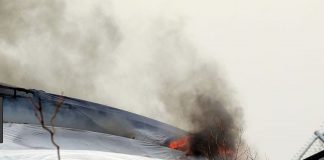 Fire Breaks Out at Chester Zoo in The United Kingdom Chester Zoo in The United Kingdom