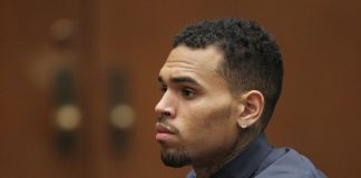 Chris Brown Will Face 6 Months In Jail For Pet Monkey Chris Brown Will Face