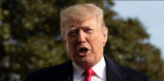 Donald Trump To Shut Down The Government If He Can’t Build Wall Donald Trump To Shut Down