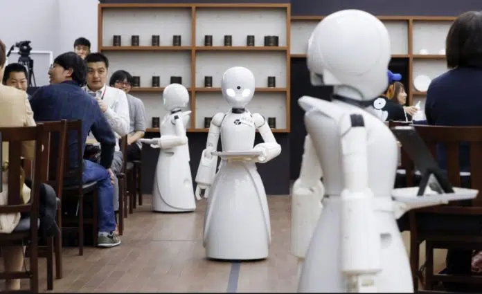 Robots In Japan Allow People