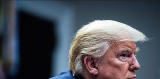If You Google “Idiot,” You Will Find Donald Trump Will Find Donald Trump