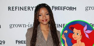 Racists Hate to See Halle Bailey Cast as Black Little Mermaid Racists Hate to See Halle Bailey
