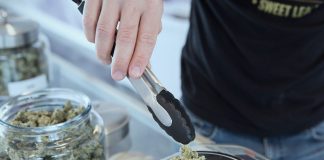 Pennsylvania Cannabis Outlook 2020 Recreational Marijuana