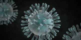 The Coronavirus Reaches The United States The Coronavirus Reaches