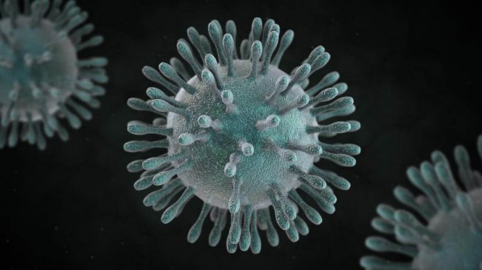 The Coronavirus Reaches