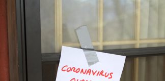 3 Crazy Things Celebrities Have Done During Quarantine Crazy Things Celebrities Have Done During