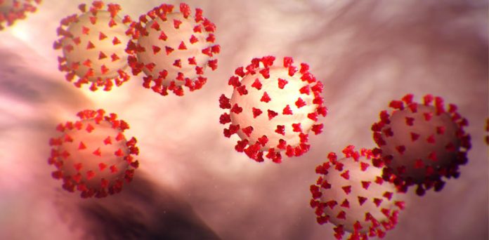 Coronavirus deaths in the US start earlier than