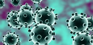 Covid-19 Virus Death Toll Is Higher Then They Are Saying Covid-19 Virus Death Toll Is Higher Then