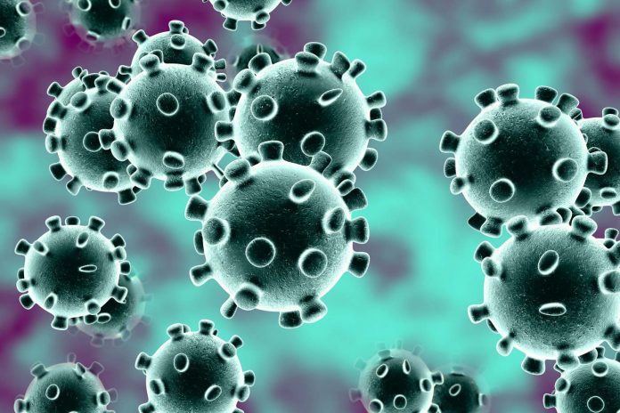 Covid-19 Virus Death Toll Is Higher Then