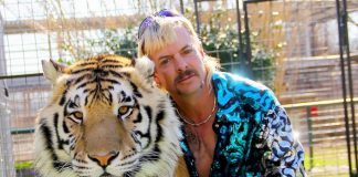 The “After” Effect of The Tiger King and His Crew Effect of The Tiger King and His Crew