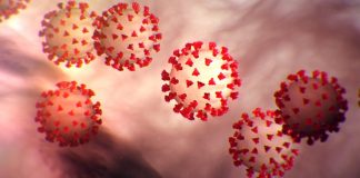Scientist Predict Second Wave of Coronavirus Scientist Predict Second Wave of Coronavirus