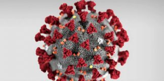 WHO Warns Coronavirus May Never Go Away WHO Warns Coronavirus May Never Go Away