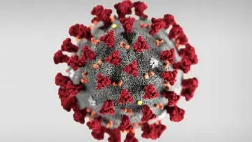 Coronavirus Experts Warn We Are In For A Rough Winter