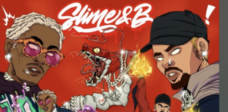 Chris Brown and Young Thug Release : Slime&B Slime&B