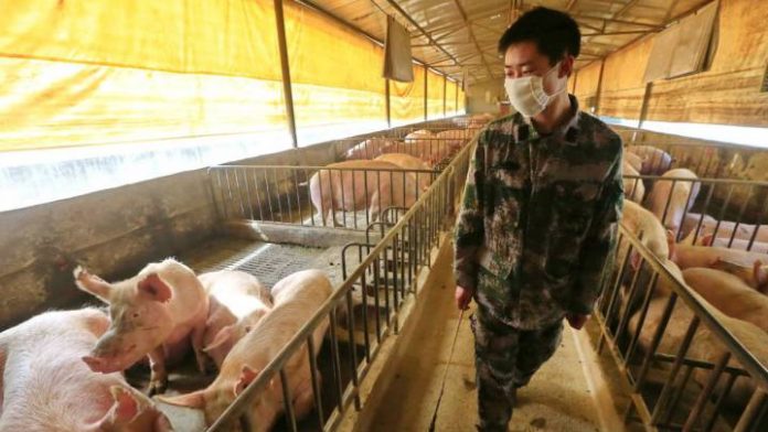 Recent_News_on_New_Flu_Strain_in_China_Hypefresh