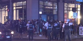 Looting Outshines Police Shooting In Chicago. Chicago Looting