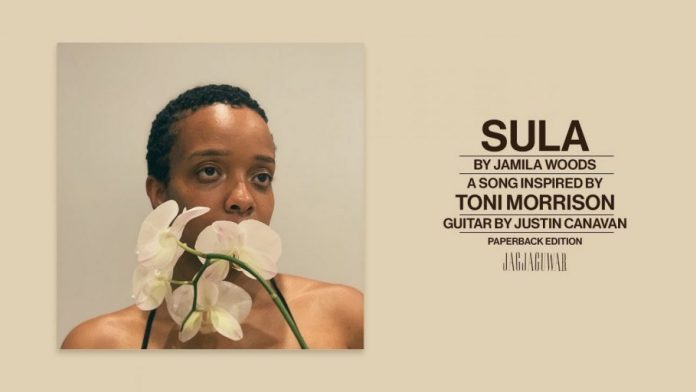 Recent_News_on_Jamila_Woods_Releases_Hypefresh