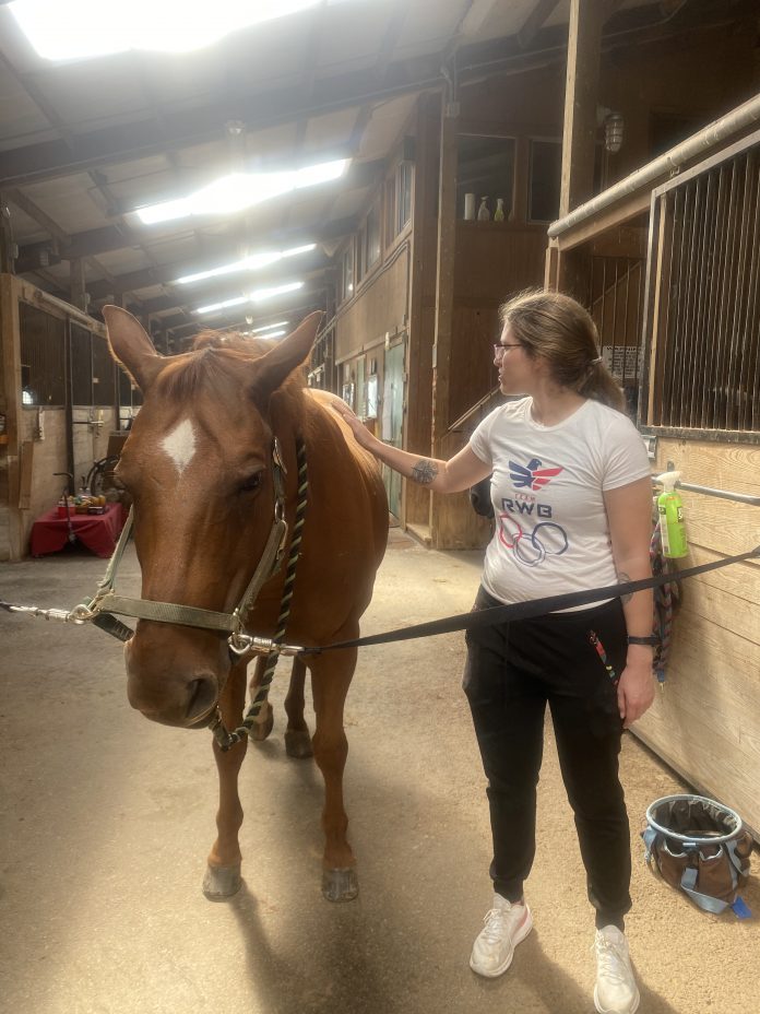 Equine Therapy: A New Hope For Mental Health Treatment