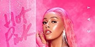 Doja Cat Apologizes To Guitarist For Stealing Song Sample Song Sample