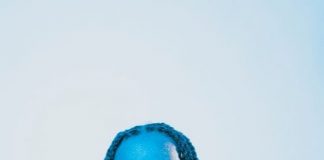 Lil Haiti Drops “Where The Cap At” Video Featuring Flipp Dinero Where The Cap At