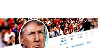 The 2nd Circuit Court Of Appeals Looses To Trump 2nd Circuit