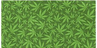 Why Is Marijuana So Taboo In The South? Marijuana