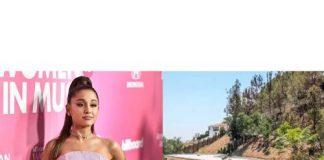 Ariana Grande Puts A Restraining Order On Yet Another Crazed Fan crazed fan