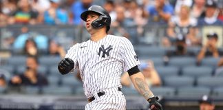 New York Yankees Gary Sanchez Expectations Questioned New York Yankees