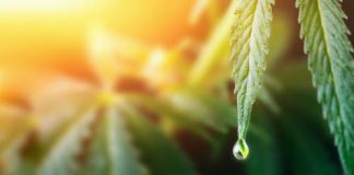Is Using Elektra Abundance Useful For Treating Bipolar Disorder? IS USING ELEKTRA ABUNDANCE