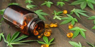 LEARN ABOUT THE PROMISING EFFECTS OF CBD Medicinal CBD extract oil capsules and green cannabis leaves