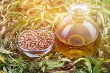  seeds and CBD oil