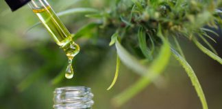 Weed Inspired Love Songs To Blaze To CBD hemp oil