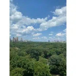 aerial view of central park