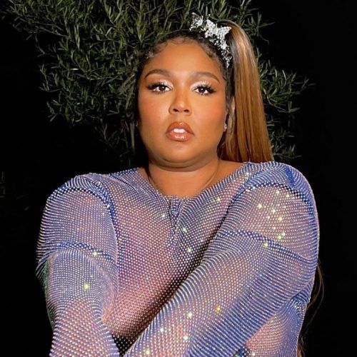 Lizzo Tells Internet Troll To Put On A “Fat Suit” fat suit