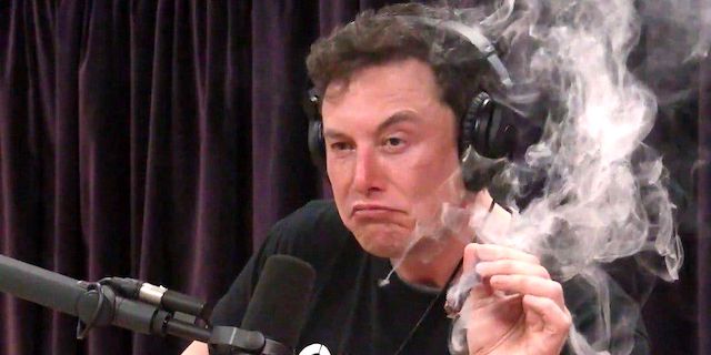 Elon Musk May Have Banned Himself From Twitter Elon Musk May Have Banned Himself From Twitter