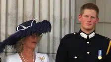 Prince Harry Reveals Where His Relationship With Camilla Stands Now