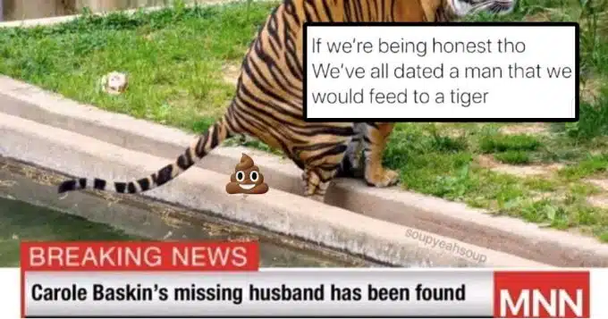 20+ Highly Suspicious Carole Baskin Memes for Widow-Making Big Cat Rescues and ‘Tiger King’ Fans Alike