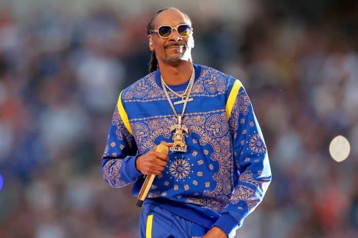 snoop dogg at super bowl