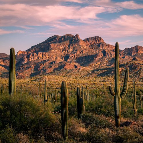 Arizona attractions