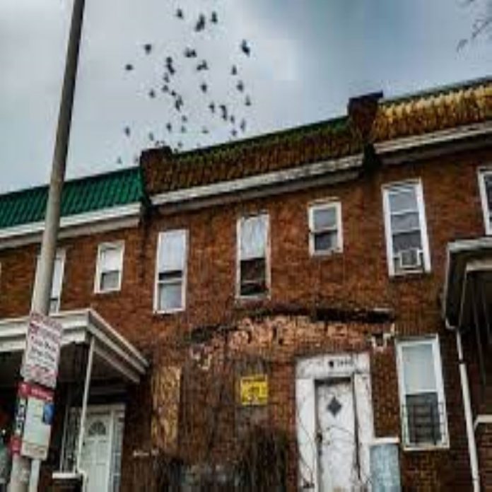 7-Year-Old Fatally Wounded in West Baltimore