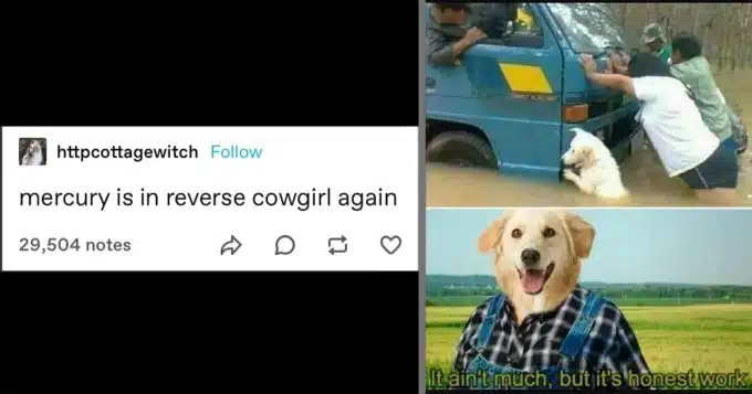 The Most Rootinest Tootinest Yeehaw Memes of the Week for the Funniest Cowboys and Cowgirls