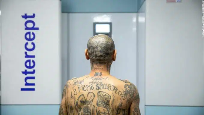 El Salvador begins transferring thousands to ‘mega prison’ amid gang crackdown