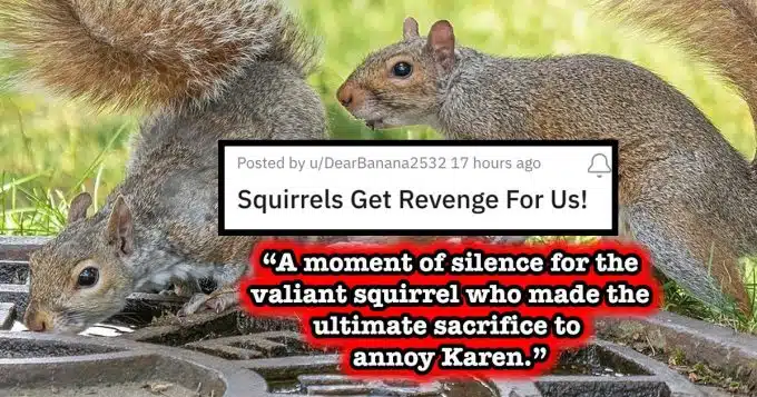 Squirrels helps get revenge on Karen neighbor: 'This whole event caused her to toss the entire roast she had been making [ ] out the window'